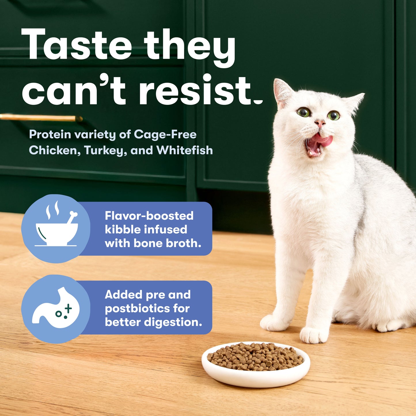 Indoor Cage-Free Chicken, Turkey, and Whitefish Dry Cat Food