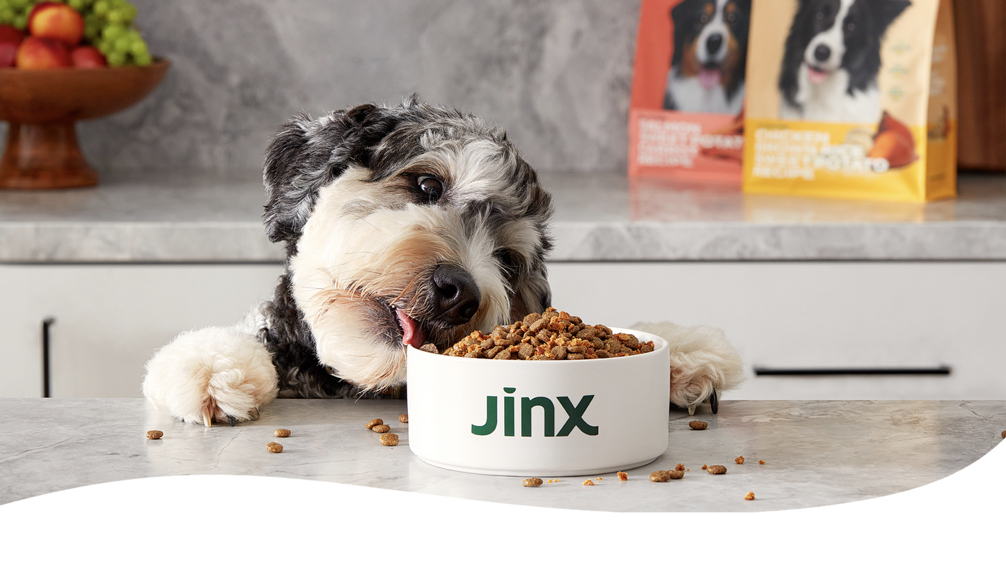 Senior Cage-Free Chicken Dog Food