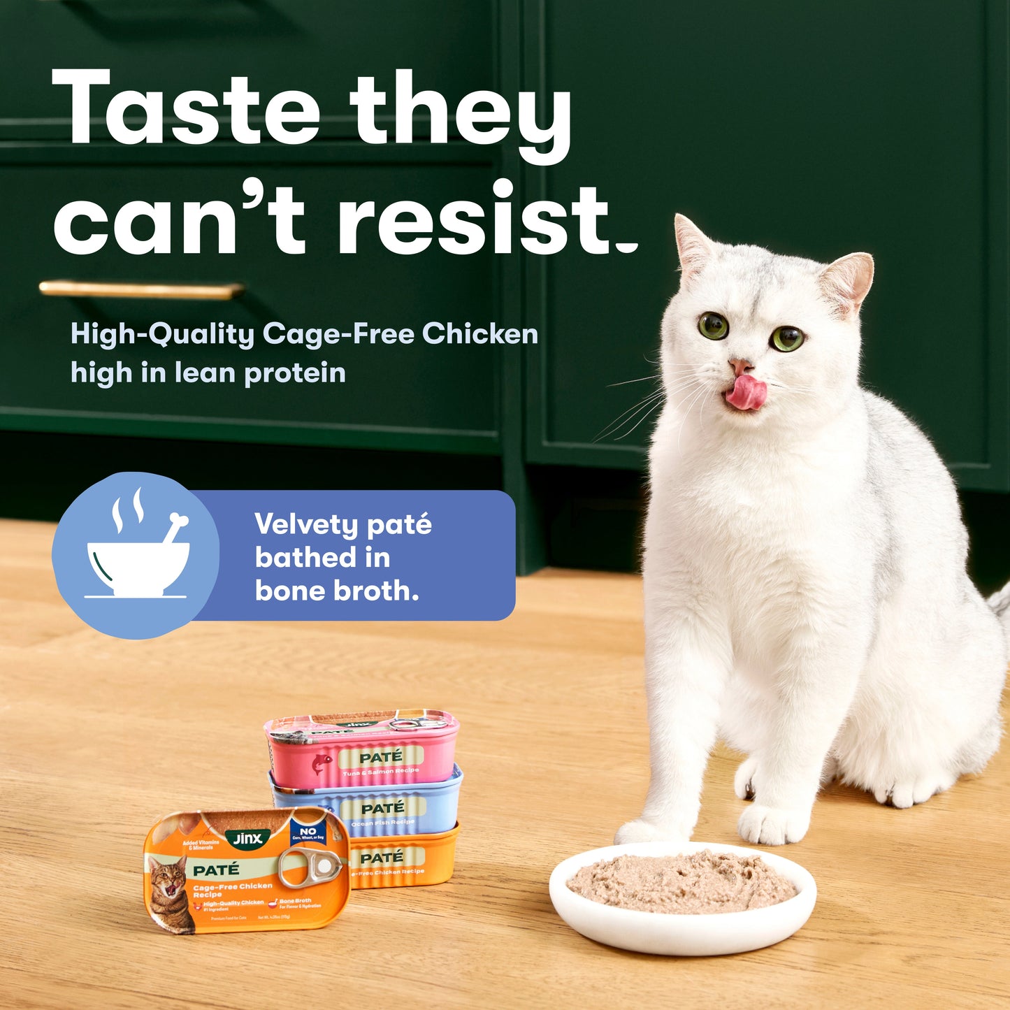 Cage-Free Chicken Cat Paté