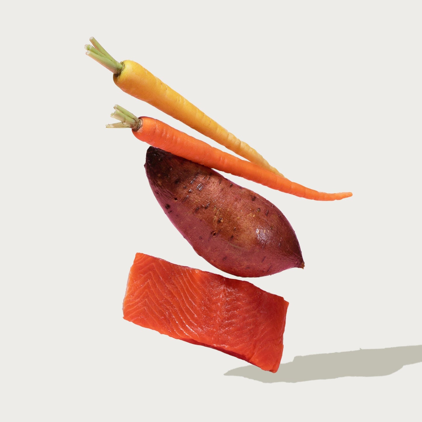 Small Breed Grain-Free Atlantic Salmon Dog Food