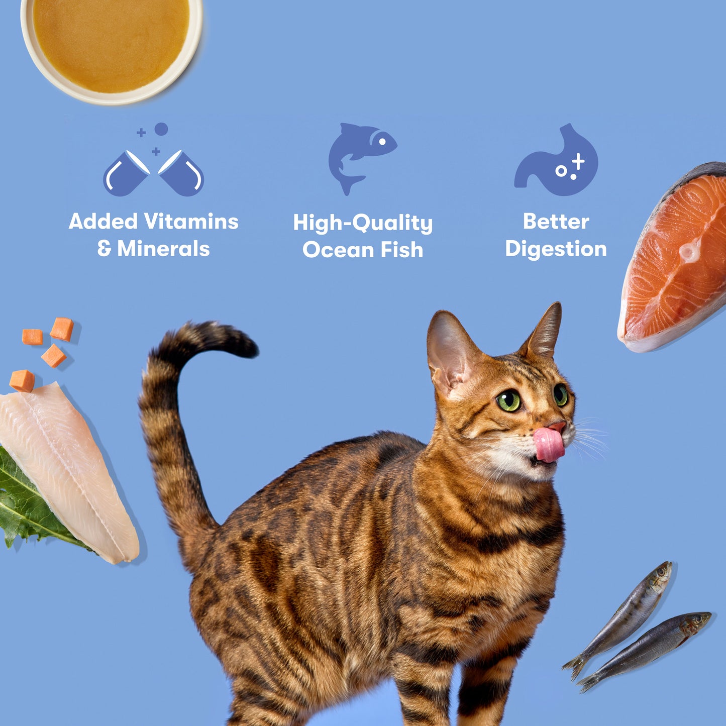 Ocean Fish Cat Paté