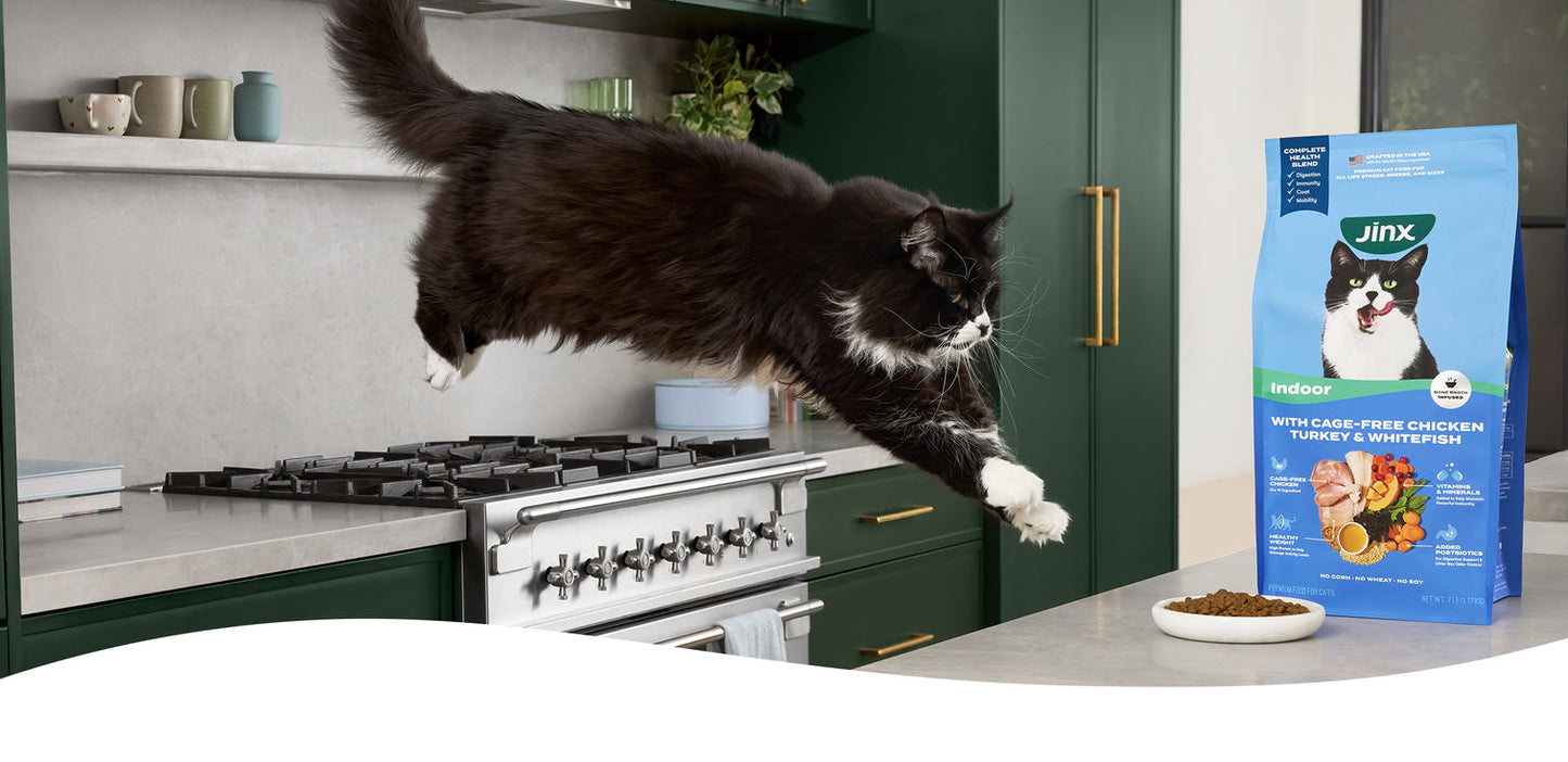 Cage-Free Chicken, Turkey, & Duck Dry Cat Food