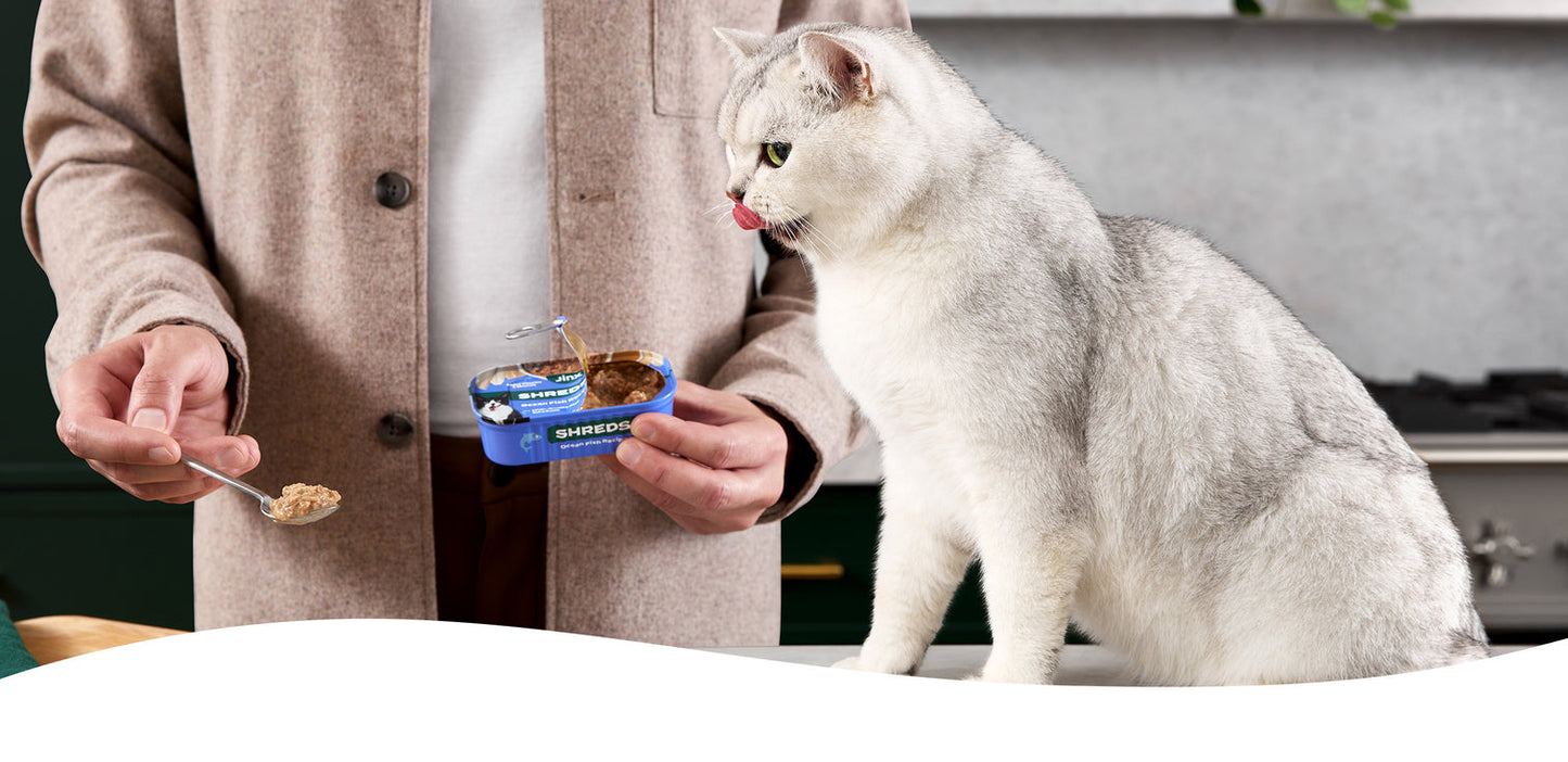 Variety Pack Cat Paté