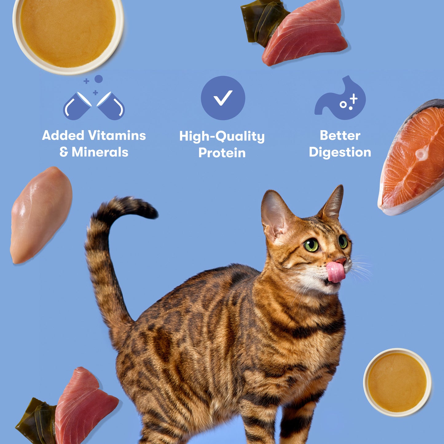 Variety Pack Cat Shreds in Bone Broth